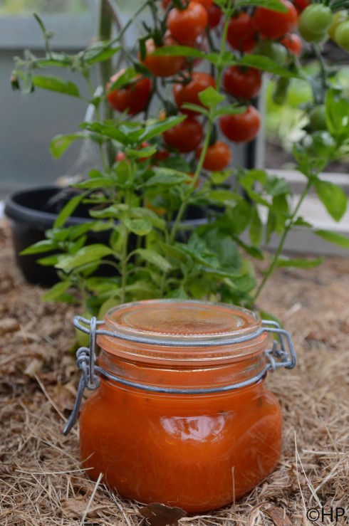 zelfgemaakte tomatenpassata 